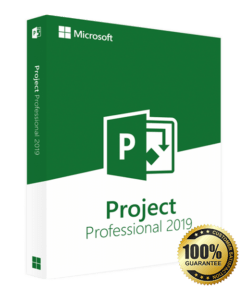 Microsoft Project Professional 2019 (Product Key)