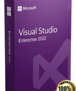 Microsoft Visual Studio 2022 Enterprise (Product key)