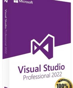 Microsoft Visual Studio 2022 Professional (Product key)