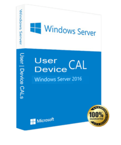 Server 2016 Remote Desktop Service RDS CAL