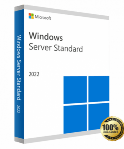 Microsoft Windows Server 2022 Standard (Product Key)