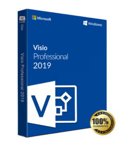 Microsoft Visio Professional 2019 (Product Key)