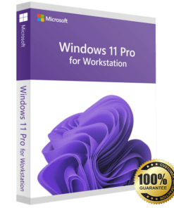 Microsoft Windows 11 Professional for Workstations (Product Key)