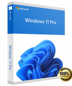 Microsoft Windows 11 Professional 64 bit (Product key)